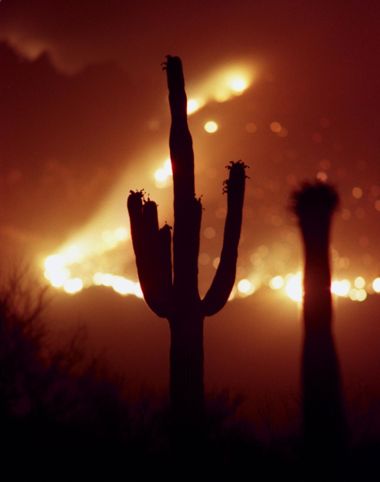 Sabino Canyon Recreation Area, Tucson